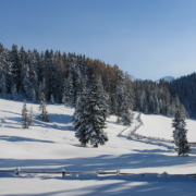 Apart Pitztal Ferienwohnungen Winterurlaub Tirol